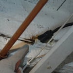 Extension Cord